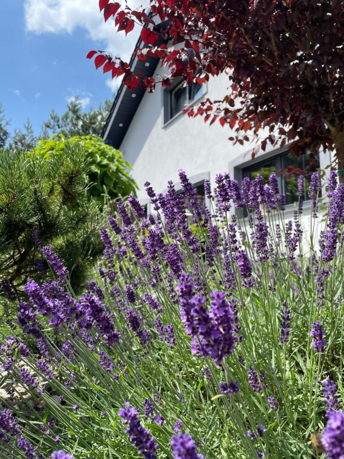 Hortus Apartament Z Klimatyzacja Boleslawiec  Exterior foto